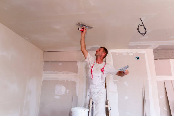 Best Acoustic Drywall Installation  in Delphi, IN